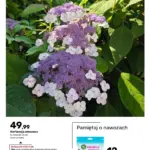 Strona 69
