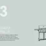 Strona 49