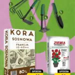 Strona 2