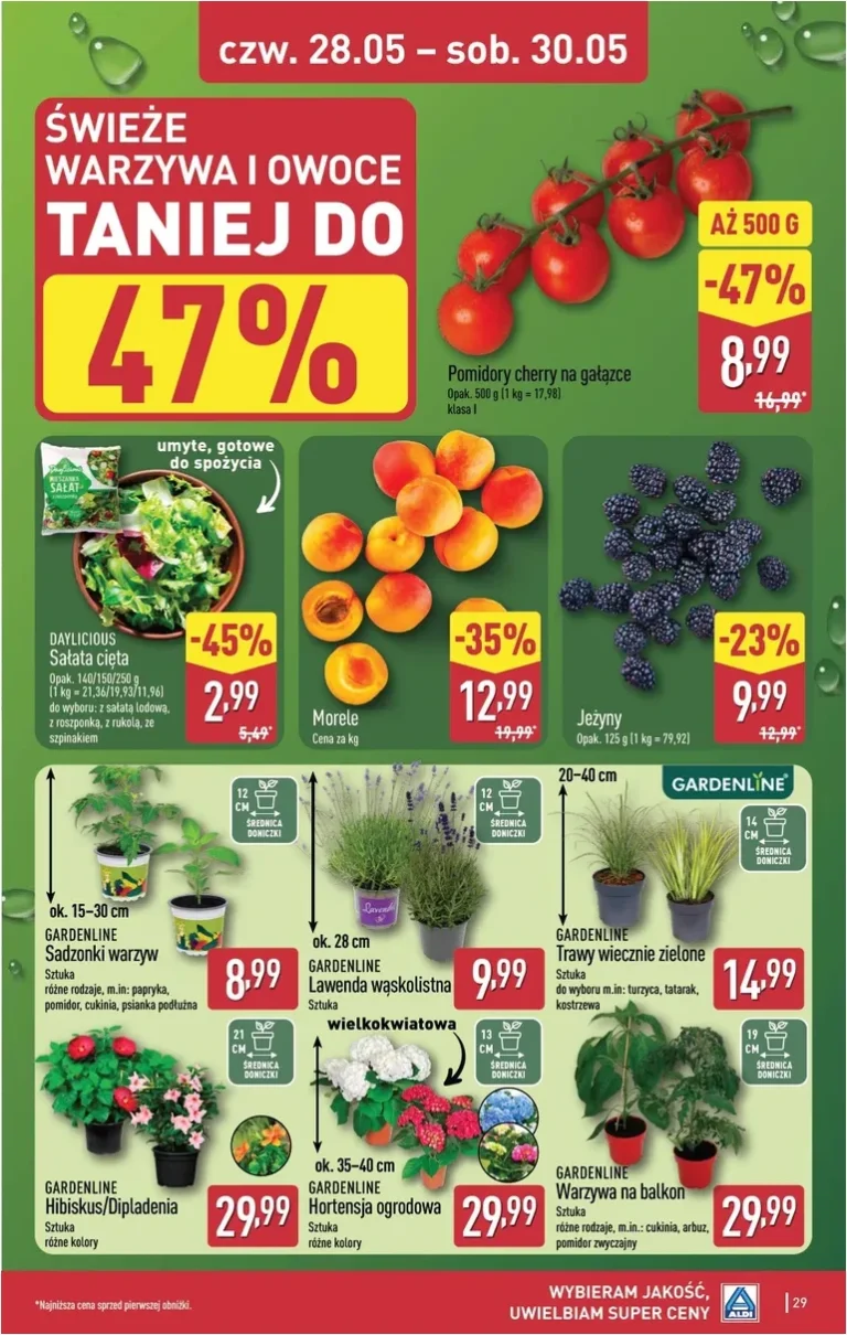 ALDI gazetka od 25.05.2026 - strona 29