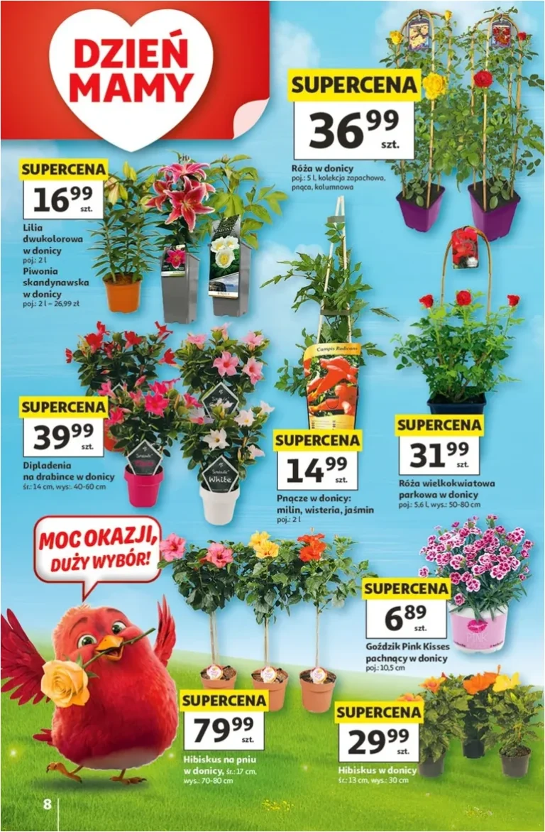 Hipermarket Auchan gazetka od 21.05.2026 - strona 8
