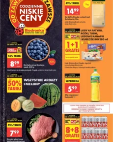 Biedronka gazetka od 29.05.2026