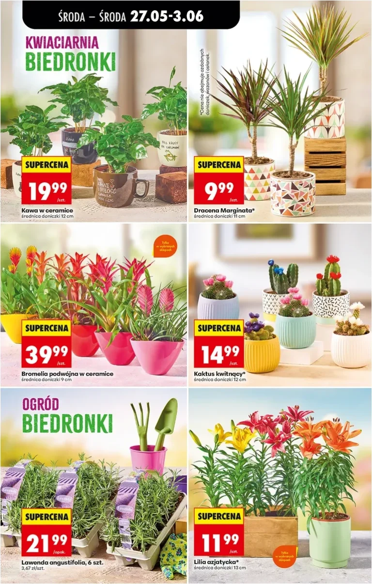 Biedronka gazetka od 27.05.2026 - strona 29