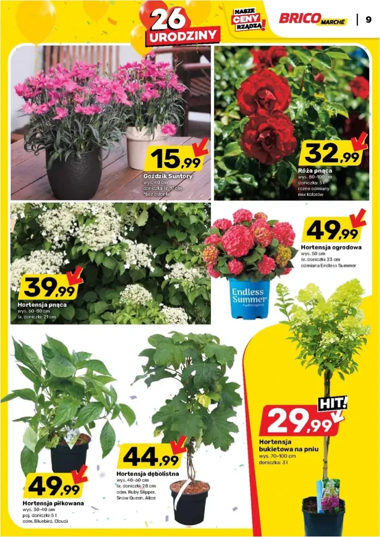 Bricomarché gazetka od 20.05.2026 - strona 9