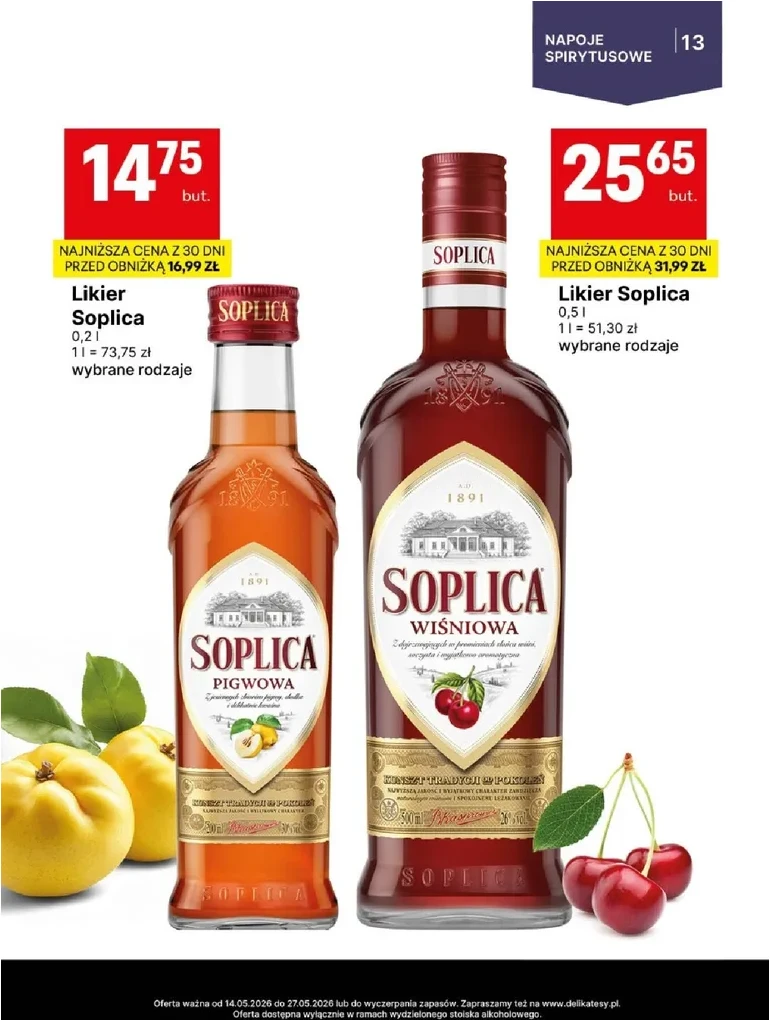 Strona 13