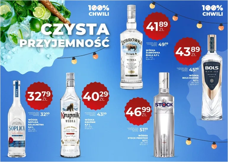 Strona 17