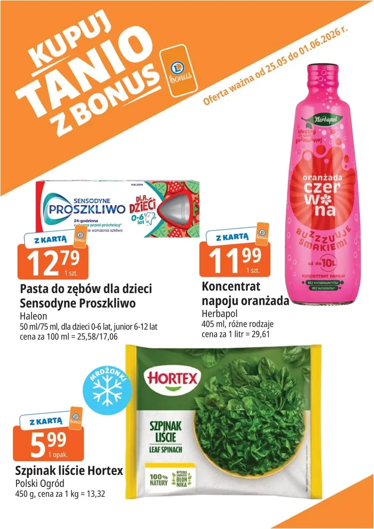 Strona 13