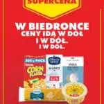 Strona 1