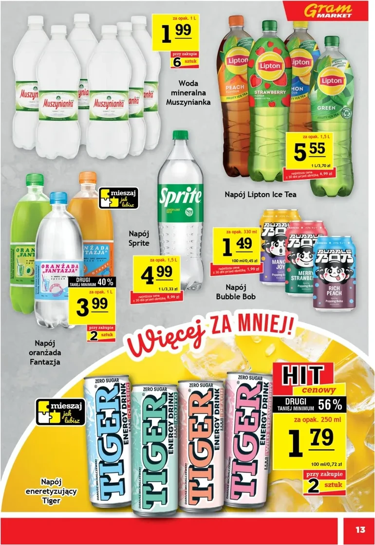 Strona 13