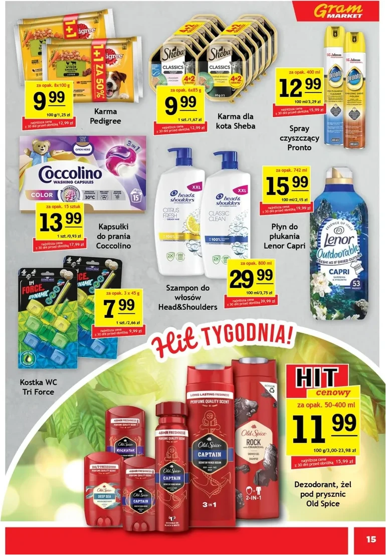 Strona 15