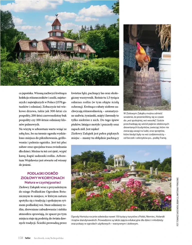 Hebe – Magazyn gazetka od 01.05.2026 - strona 158