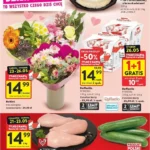 Strona 1