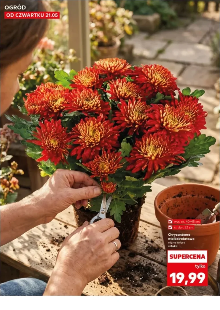 Kaufland – Katalog Ogród gazetka od 21.05.2026 - strona 10