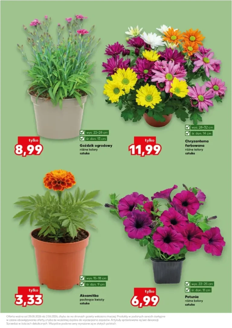 Kaufland – Katalog Ogród gazetka od 28.05.2026 - strona 11