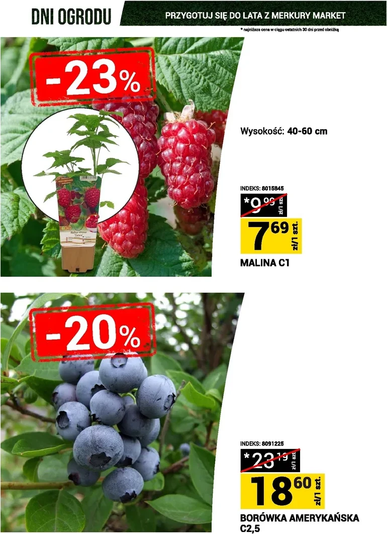 Strona 8