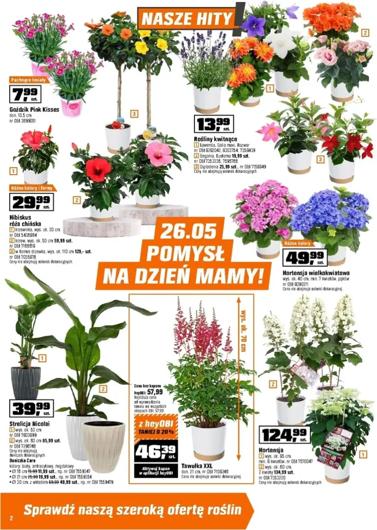 OBI gazetka od 20.05.2026 - strona 2