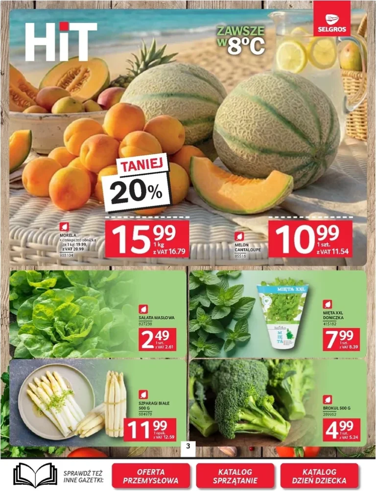 Selgros cash&amp;carry – Oferta Spożywcza gazetka od 21.05.2026 - strona 3