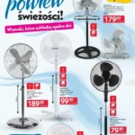 Strona 1