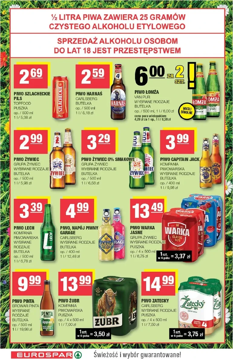 Strona 12
