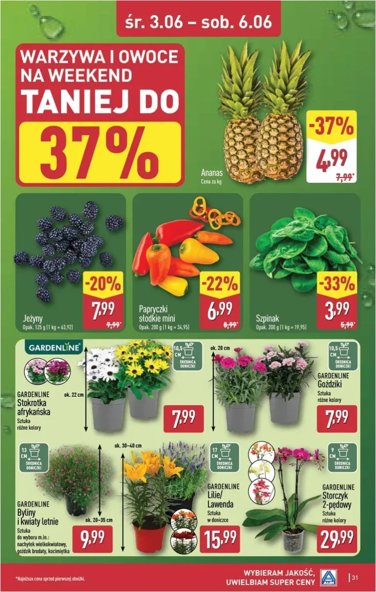 ALDI gazetka od 01.06.2026 - strona 31