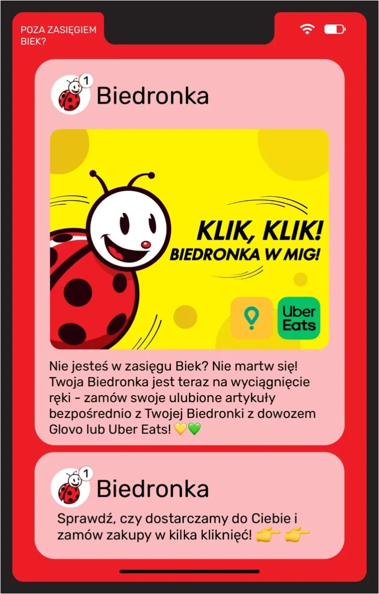 Biedronka – Biek gazetka od 04.06.2026 - strona 17