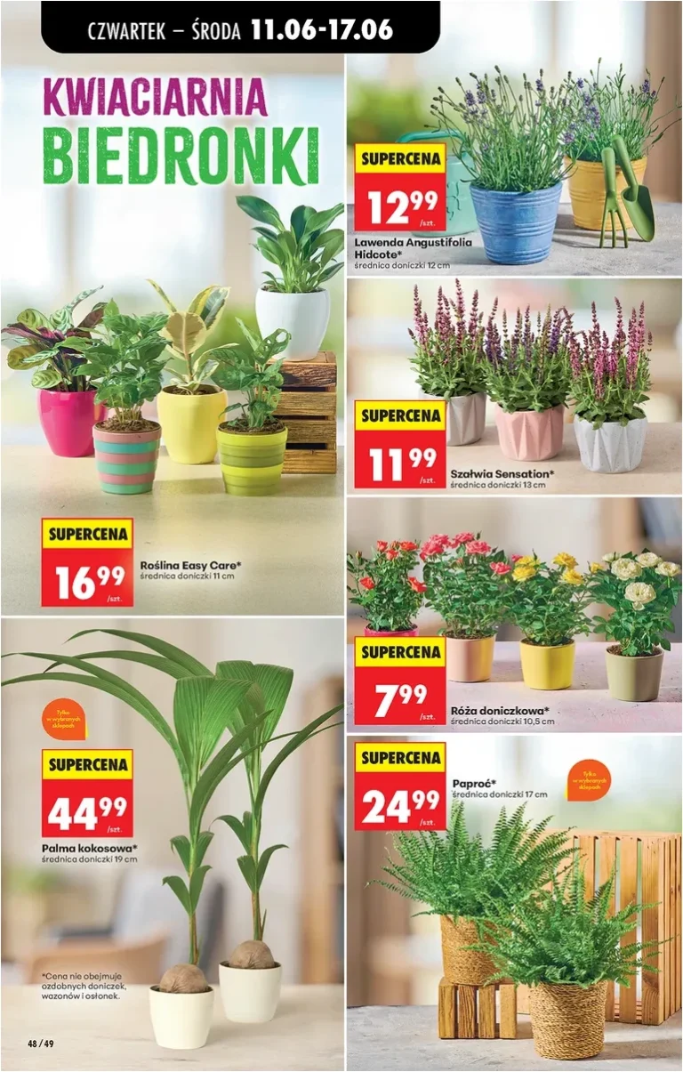 Biedronka gazetka od 11.06.2026 - strona 66