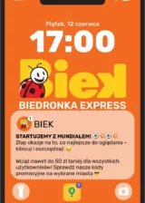 Biedronka gazetka od 12.06.2026