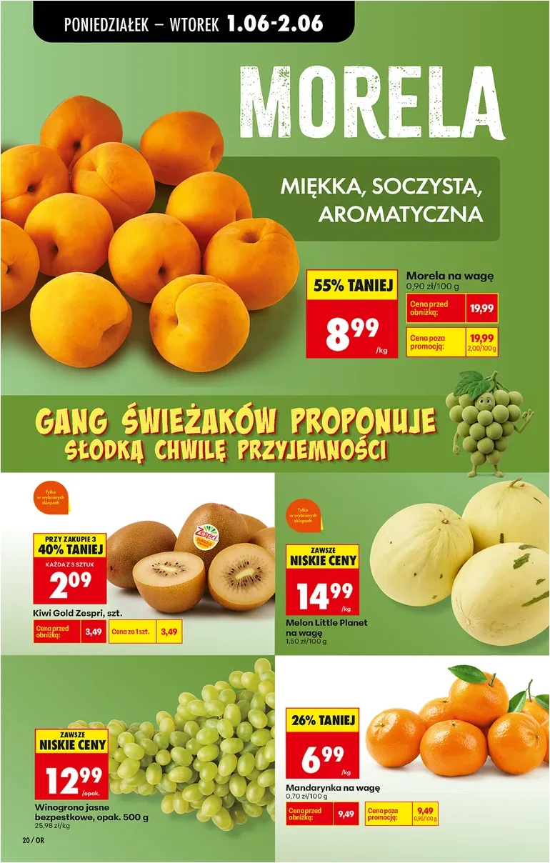 Strona 26