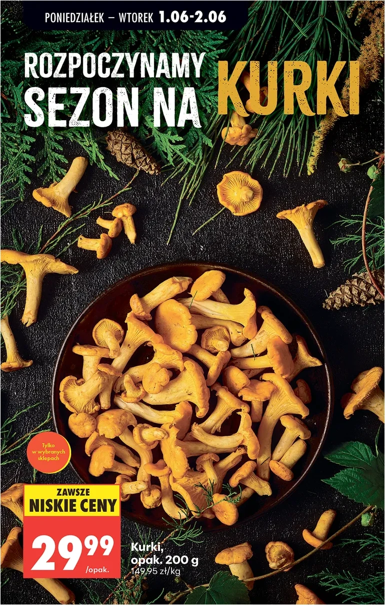 Strona 29
