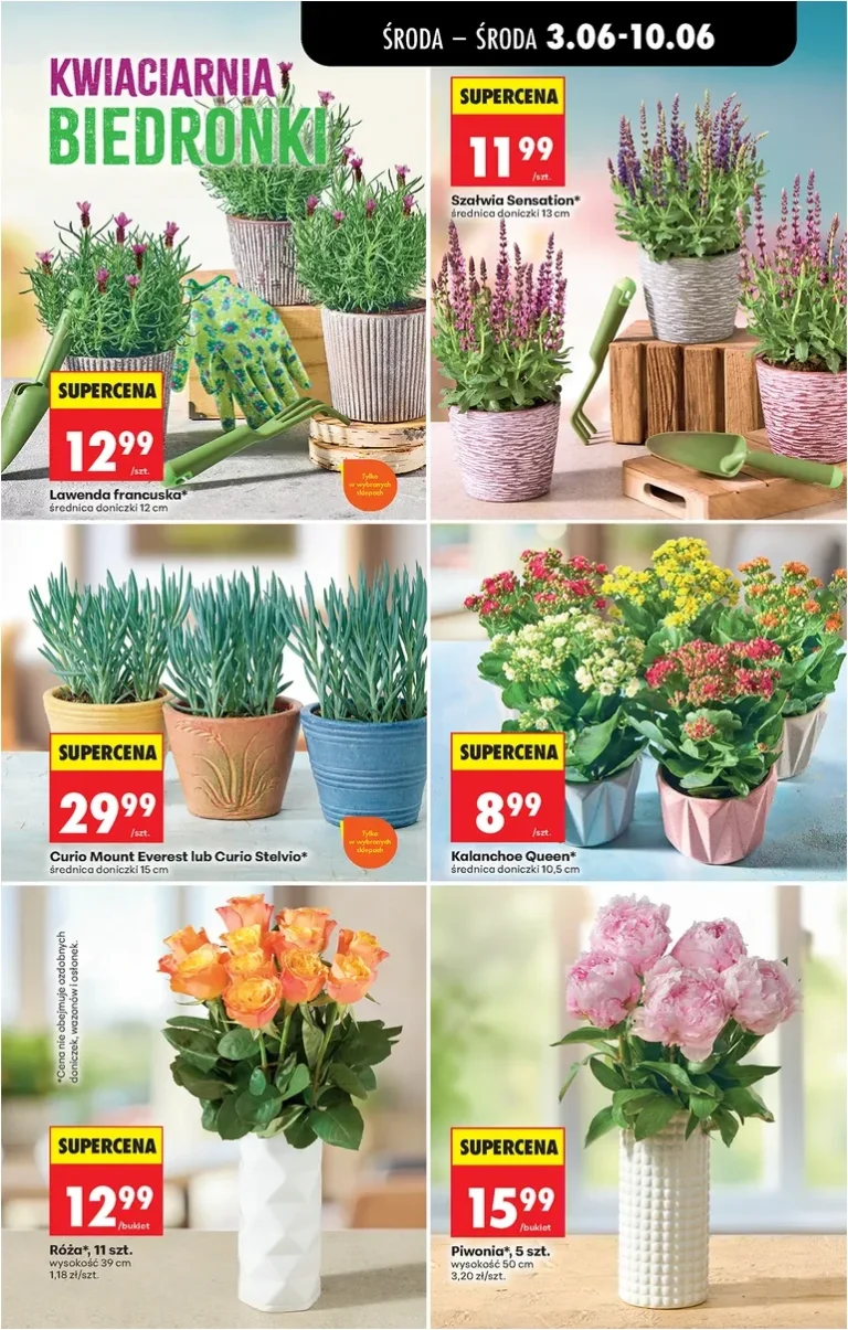 Biedronka gazetka od 03.06.2026 - strona 71