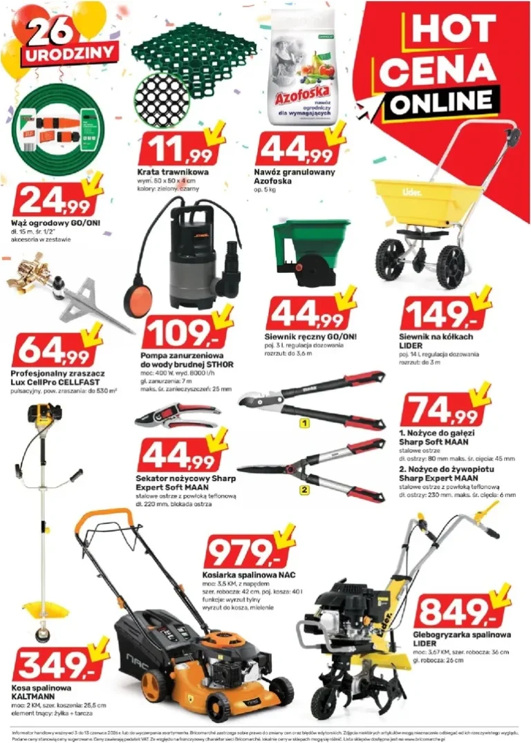 Bricomarché – Hot cena online gazetka od 03.06.2026 - strona 3