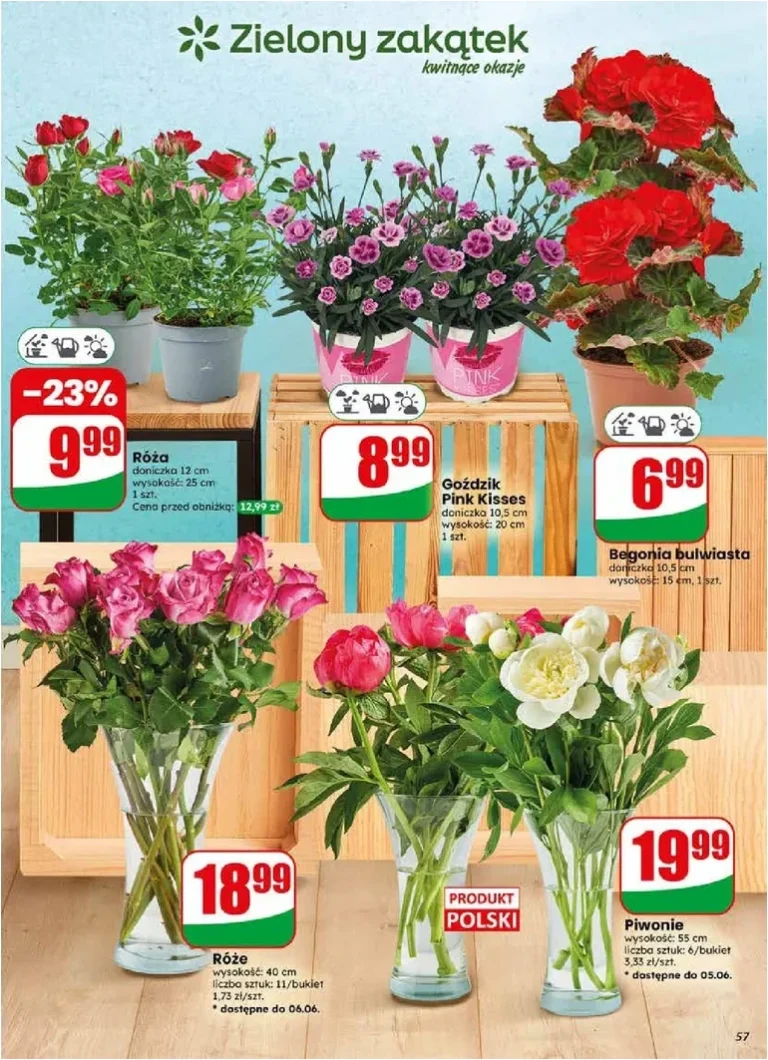 Dino gazetka od 03.06.2026 - strona 57