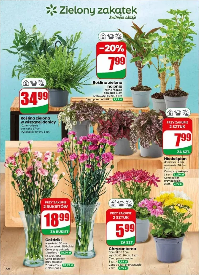 Dino gazetka od 03.06.2026 - strona 58