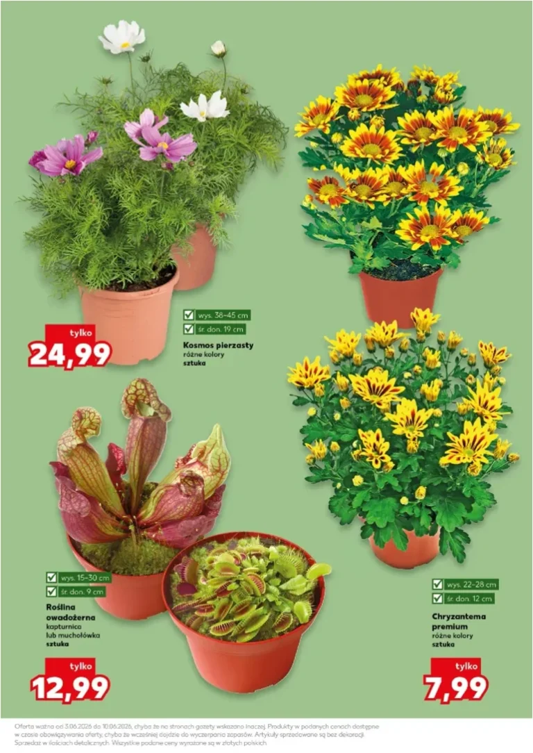 Kaufland – Katalog Ogród gazetka od 03.06.2026 - strona 11