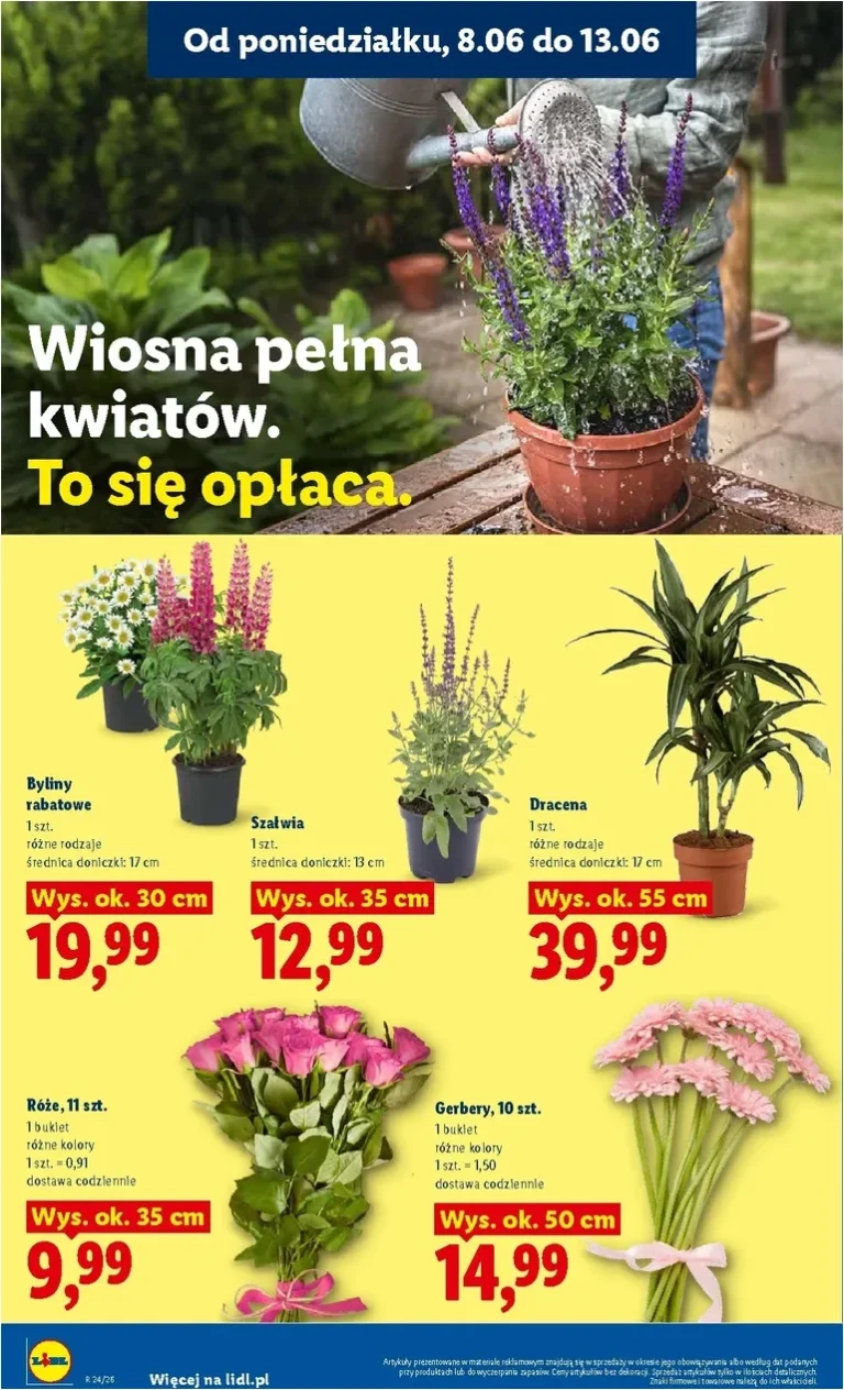 Lidl gazetka od 08.06.2026 - strona 82