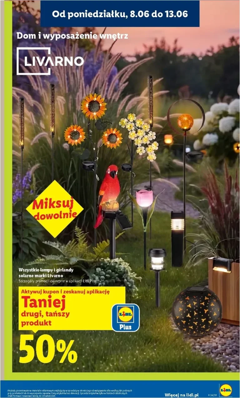 Lidl – Katalog ważny od 8.06 gazetka od 08.06.2026 - strona 21