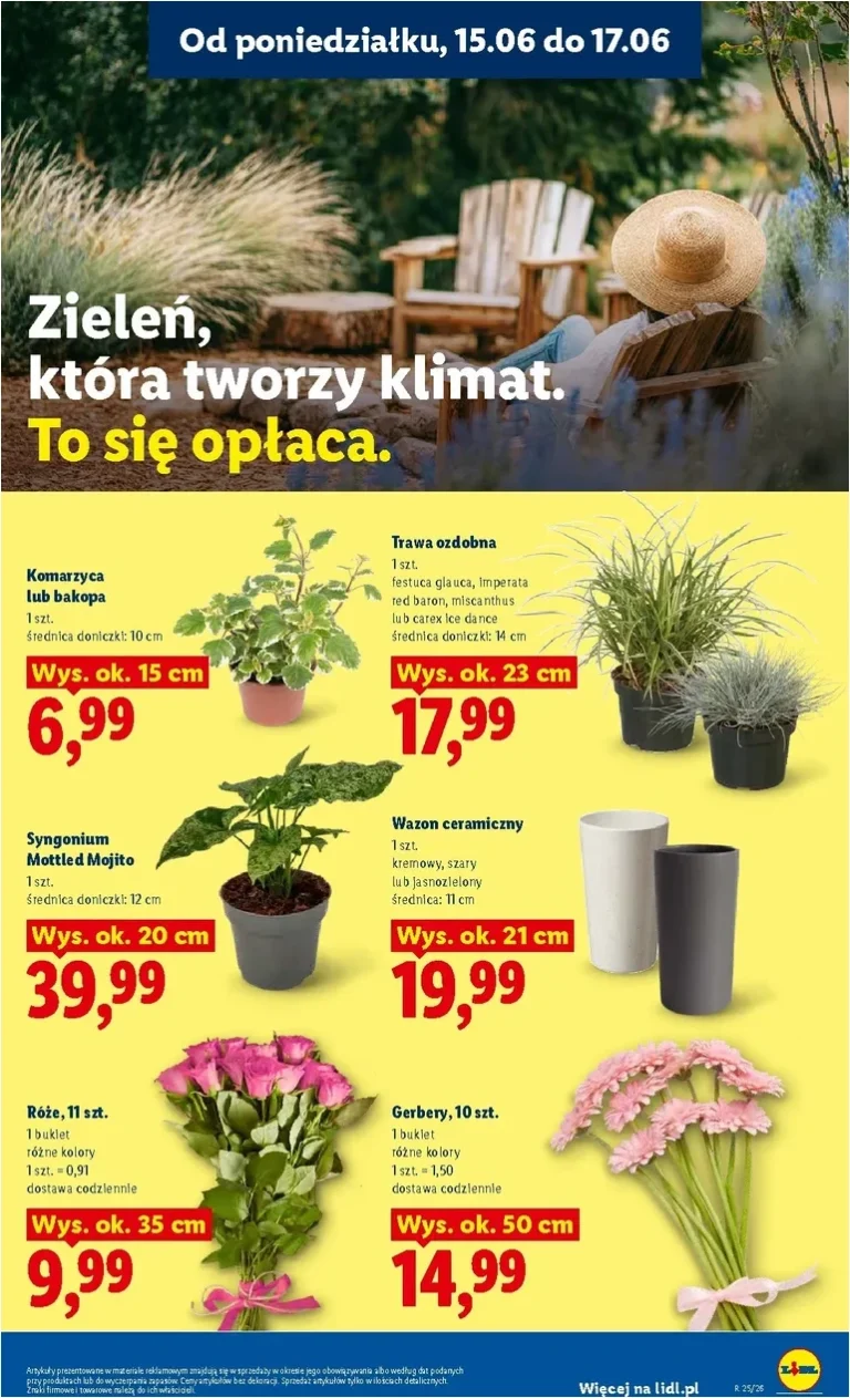 Najnowsza gazetka Lidl – Gazetka ważna od 15.06 do 17.06 ważna od 15.06.2026 ⭐ - strona 97