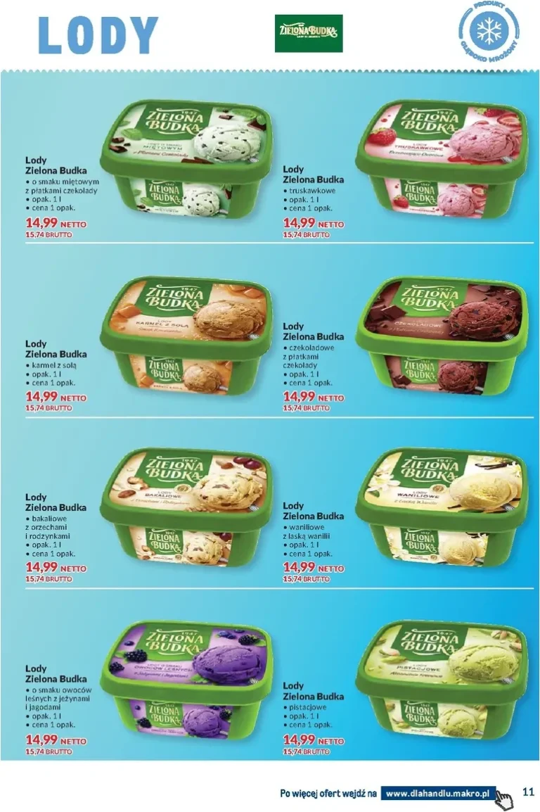 Makro – Dowozimy twój sukces gazetka od 09.06.2026 - strona 11