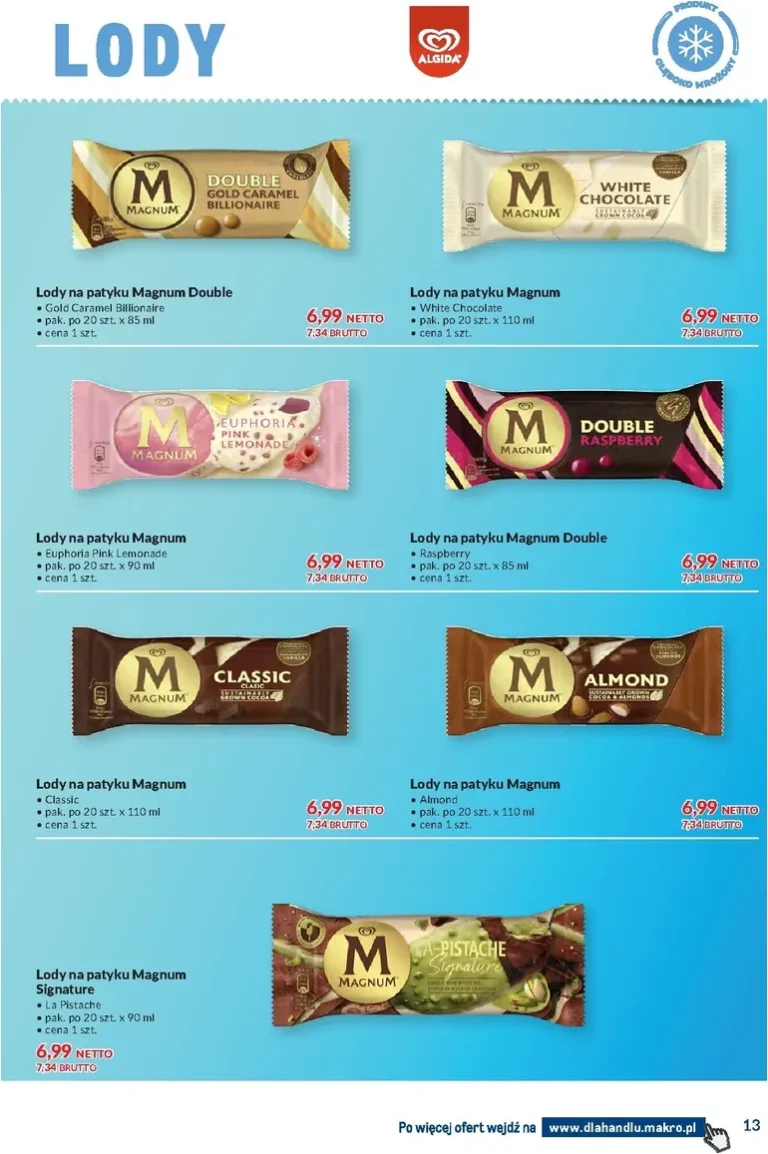 Makro – Dowozimy twój sukces gazetka od 09.06.2026 - strona 13