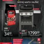 Strona 1